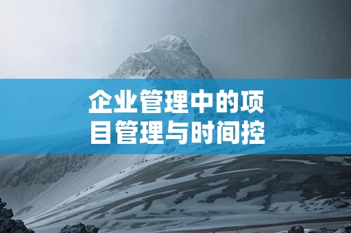 企业管理中的项目管理与时间控制