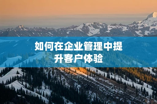 如何在企业管理中提升客户体验