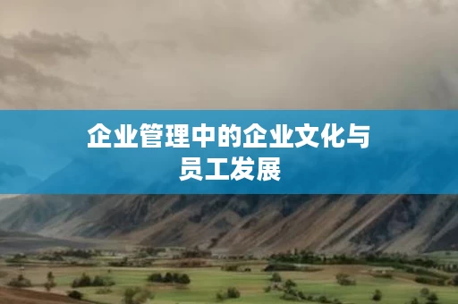 企业管理中的企业文化与员工发展