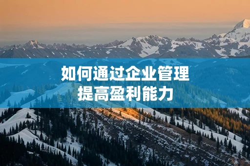 如何通过企业管理提高盈利能力