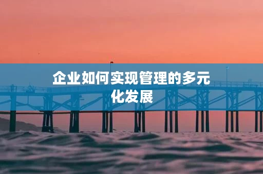企业如何实现管理的多元化发展