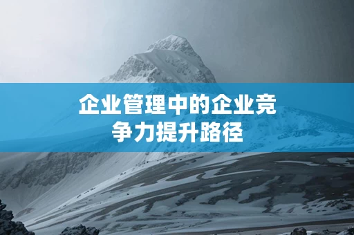企业管理中的企业竞争力提升路径