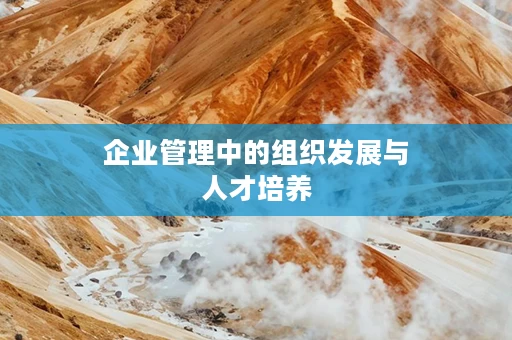 企业管理中的组织发展与人才培养
