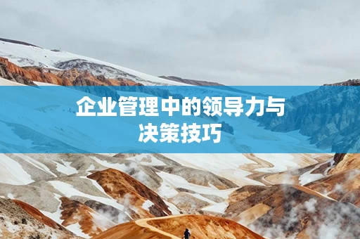 企业管理中的领导力与决策技巧