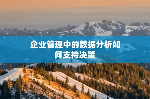 企业管理中的数据分析如何支持决策