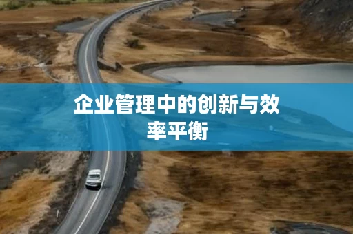 企业管理中的创新与效率平衡