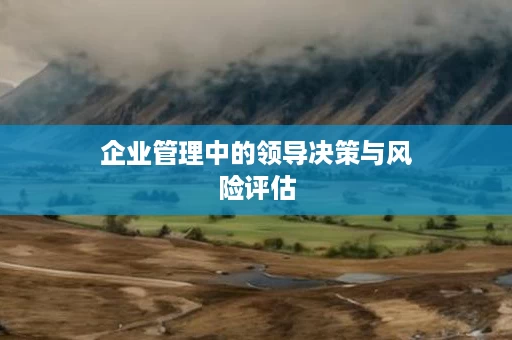 企业管理中的领导决策与风险评估