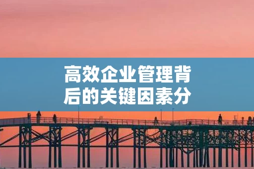 高效企业管理背后的关键因素分析