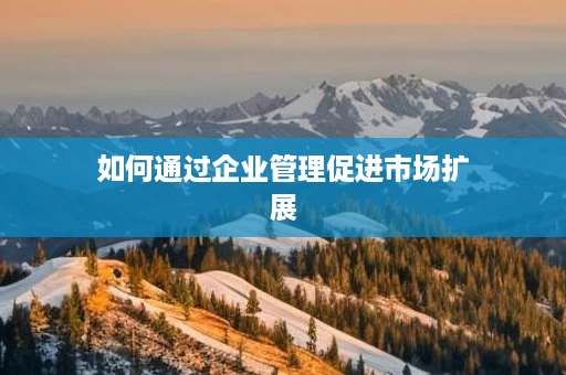 如何通过企业管理促进市场扩展