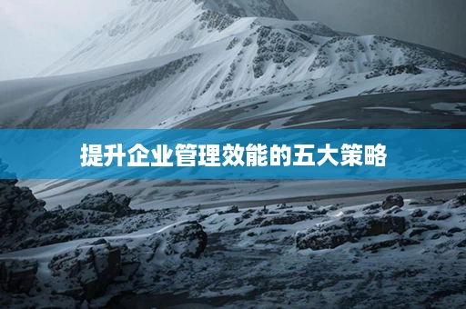 提升企业管理效能的五大策略