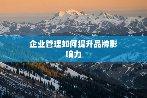 企业管理如何提升品牌影响力