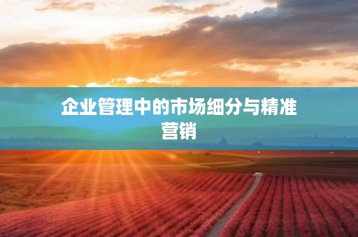 企业管理中的市场细分与精准营销