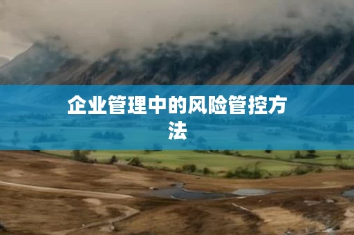 企业管理中的风险管控方法