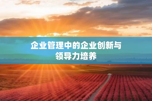 企业管理中的企业创新与领导力培养