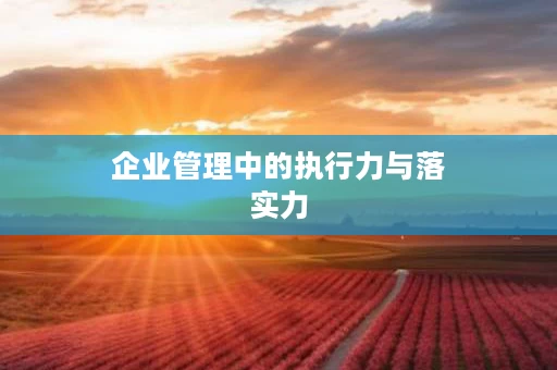 企业管理中的执行力与落实力