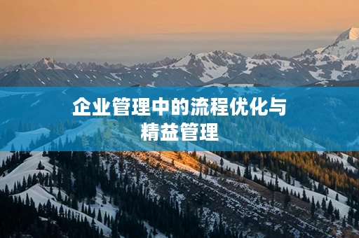企业管理中的流程优化与精益管理