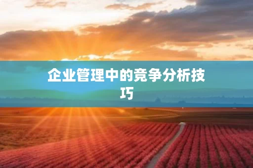 企业管理中的竞争分析技巧