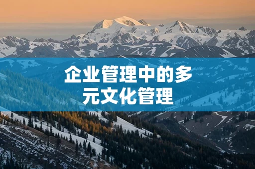 企业管理中的多元文化管理