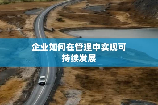 企业如何在管理中实现可持续发展