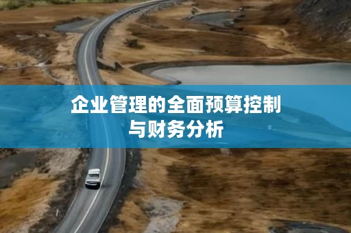 企业管理的全面预算控制与财务分析