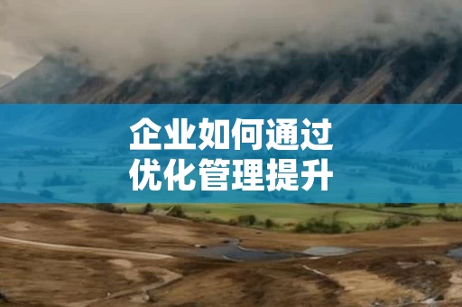 企业如何通过优化管理提升效率
