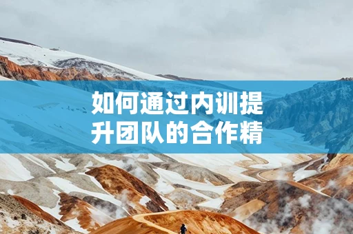 如何通过内训提升团队的合作精神