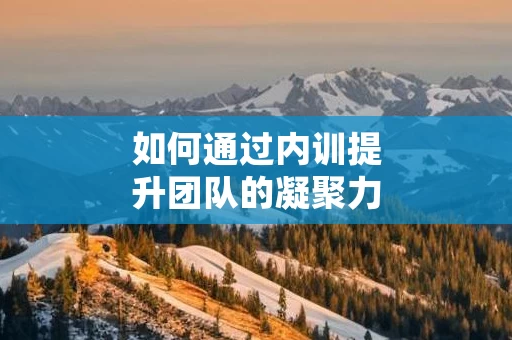 如何通过内训提升团队的凝聚力