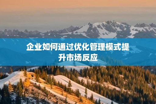 企业如何通过优化管理模式提升市场反应