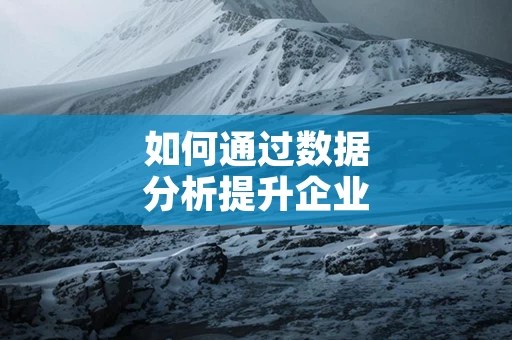 如何通过数据分析提升企业管理水平