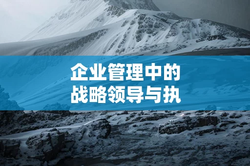 企业管理中的战略领导与执行