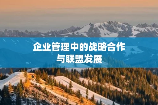企业管理中的战略合作与联盟发展