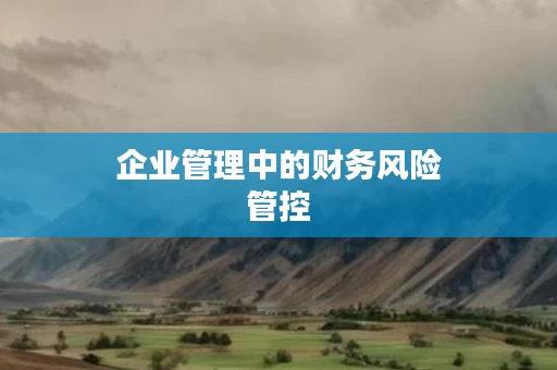 企业管理中的财务风险管控