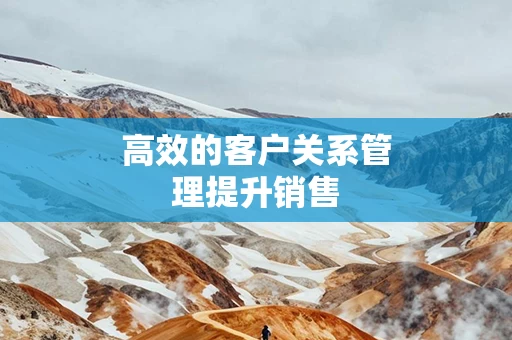 高效的客户关系管理提升销售