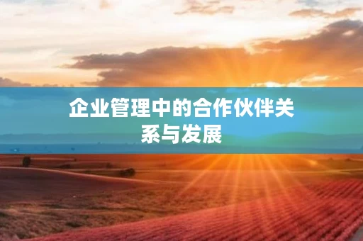 企业管理中的合作伙伴关系与发展