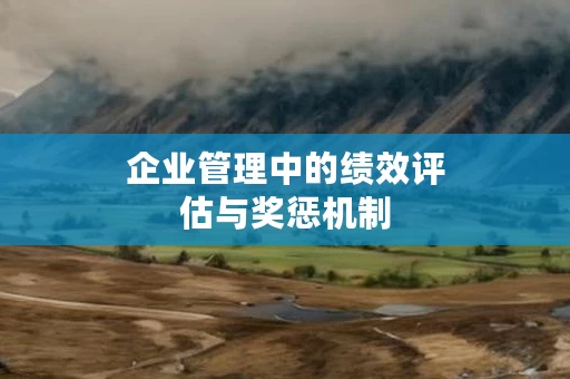 企业管理中的绩效评估与奖惩机制