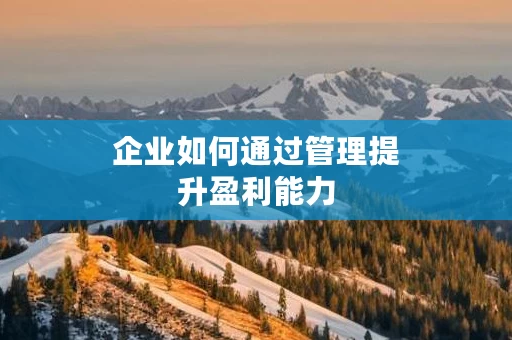 企业如何通过管理提升盈利能力
