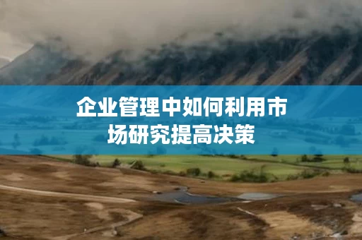 企业管理中如何利用市场研究提高决策