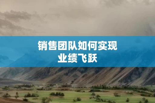 销售团队如何实现业绩飞跃