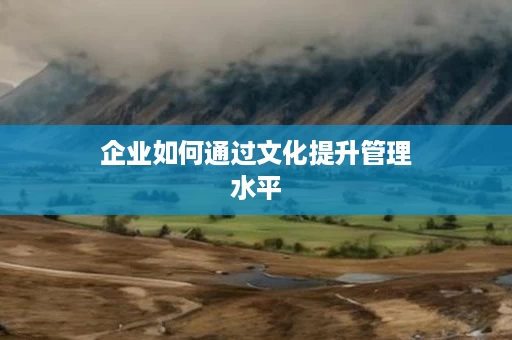 企业如何通过文化提升管理水平