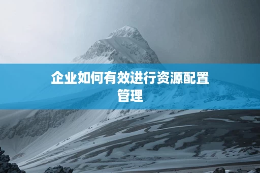 企业如何有效进行资源配置管理