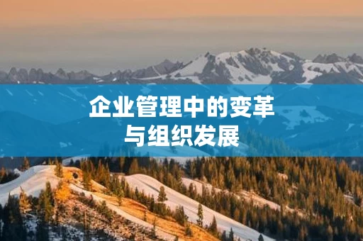 企业管理中的变革与组织发展