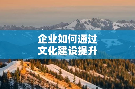企业如何通过文化建设提升管理水平