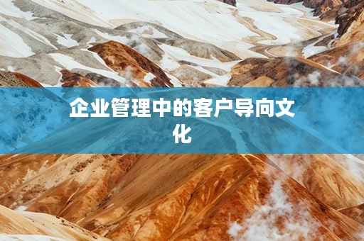 企业管理中的客户导向文化