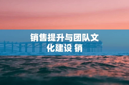 销售提升与团队文化建设 销