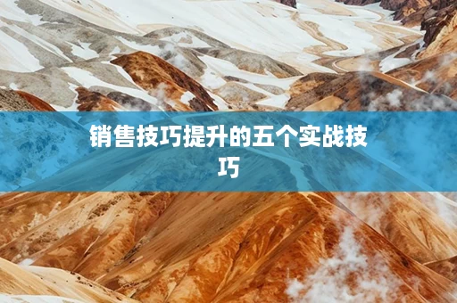 销售技巧提升的五个实战技巧