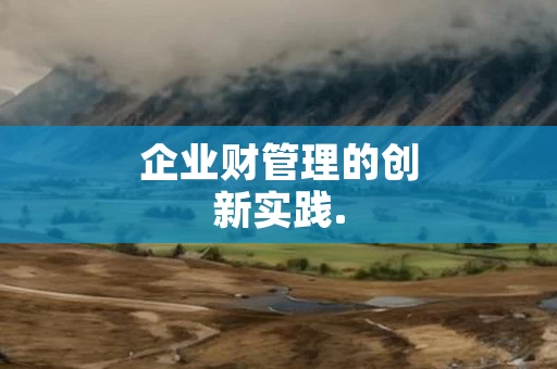 企业财管理的创新实践.