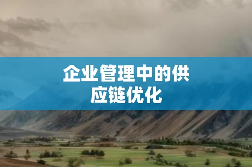 企业管理中的供应链优化