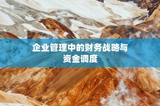 企业管理中的财务战略与资金调度