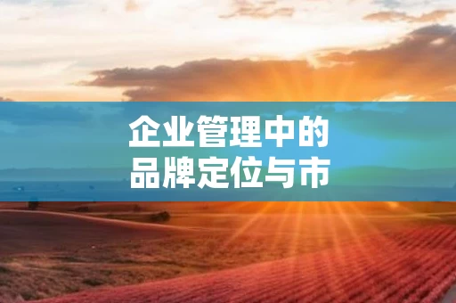 企业管理中的品牌定位与市场差异化