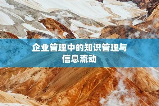 企业管理中的知识管理与信息流动